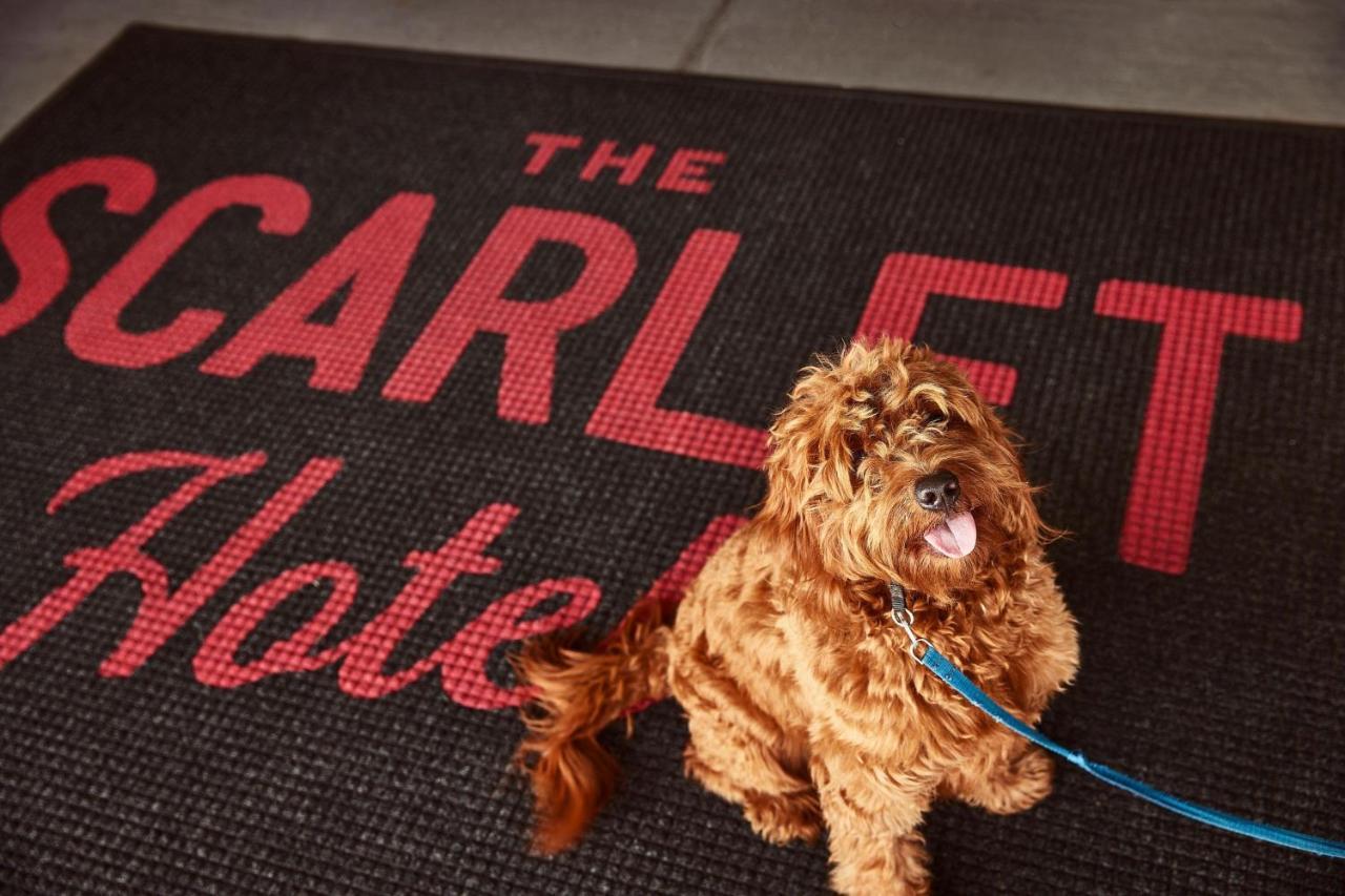 The Scarlet, Lincoln, A Tribute Portfolio Hotel Экстерьер фото